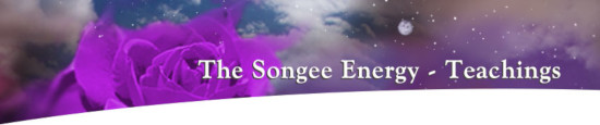 The Songee Energy - Teachings