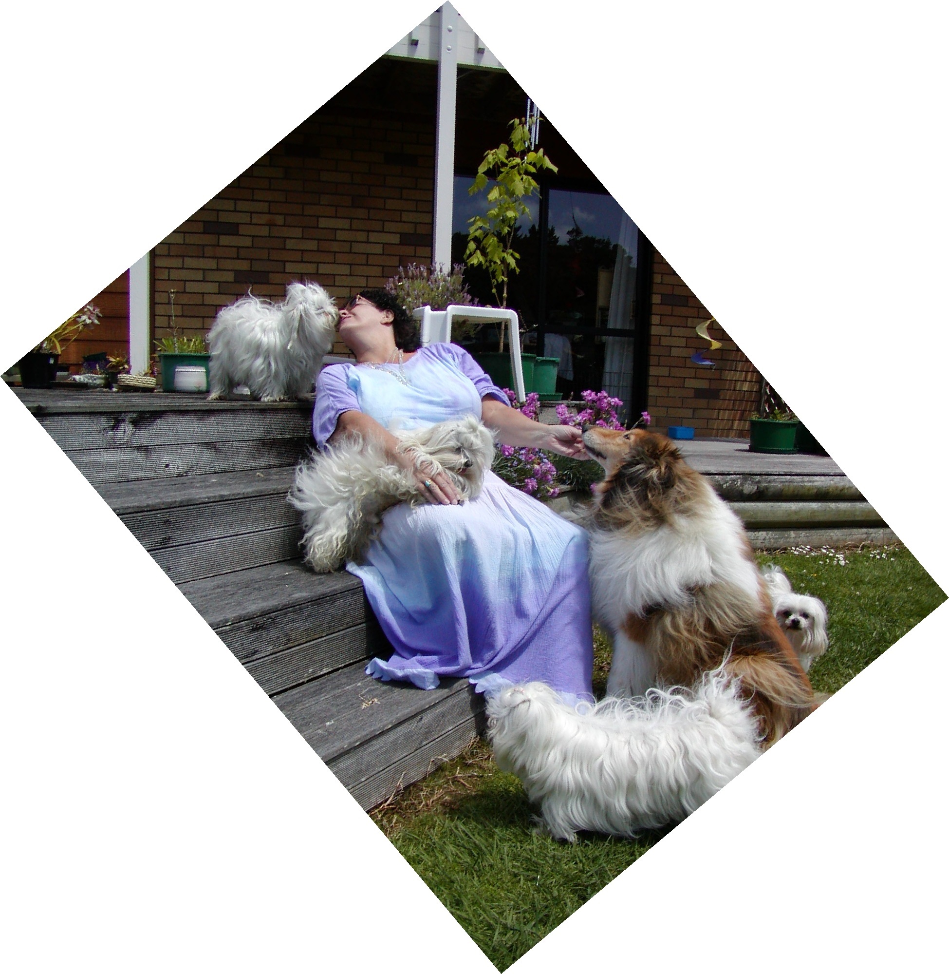 Roberta-Margaret and the dogs