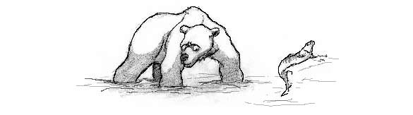 Great She Bear fishing